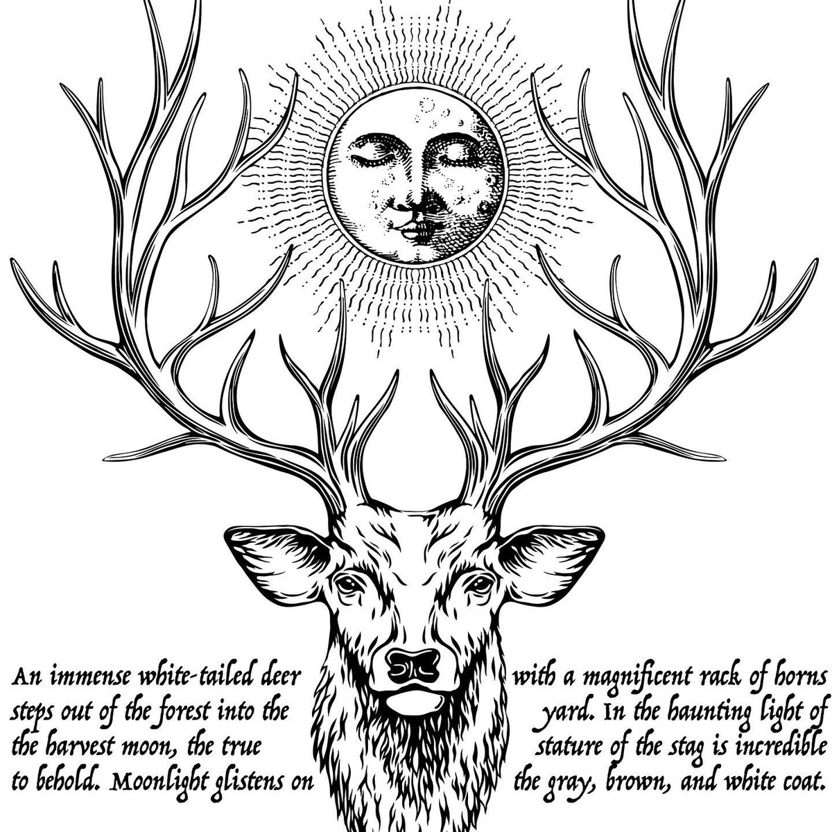 JKansanen's tweet image. This is the closest pic I found that could match last night’s spectacular Harvest Moon. This event holds a special significance in my @APendaleTale series. Read more about it via the link in my bio! #yalit #yafantasy #youngadult #youngadultbooks #yabooks #fantasy #fantasywriter