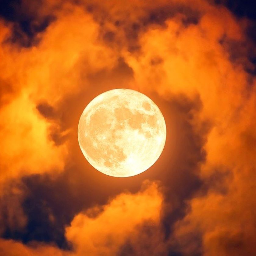 JKansanen's tweet image. This is the closest pic I found that could match last night’s spectacular Harvest Moon. This event holds a special significance in my @APendaleTale series. Read more about it via the link in my bio! #yalit #yafantasy #youngadult #youngadultbooks #yabooks #fantasy #fantasywriter