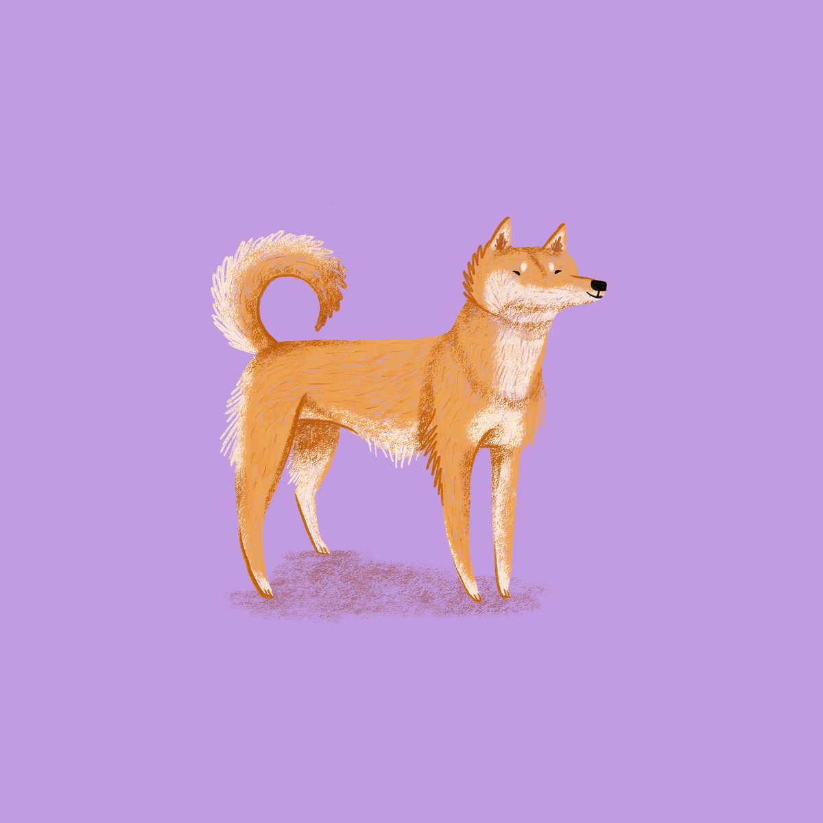Jindo Boi - Mary and The Good Bois #nft 
By <a href="/MaryandtheLocks/">Mary and the Locks</a> (1:1 > 0,05eth) 

opensea.io/assets/ethereu…

#NFTshill #nfts #OpenSeaNFT #opensea #NFTartist