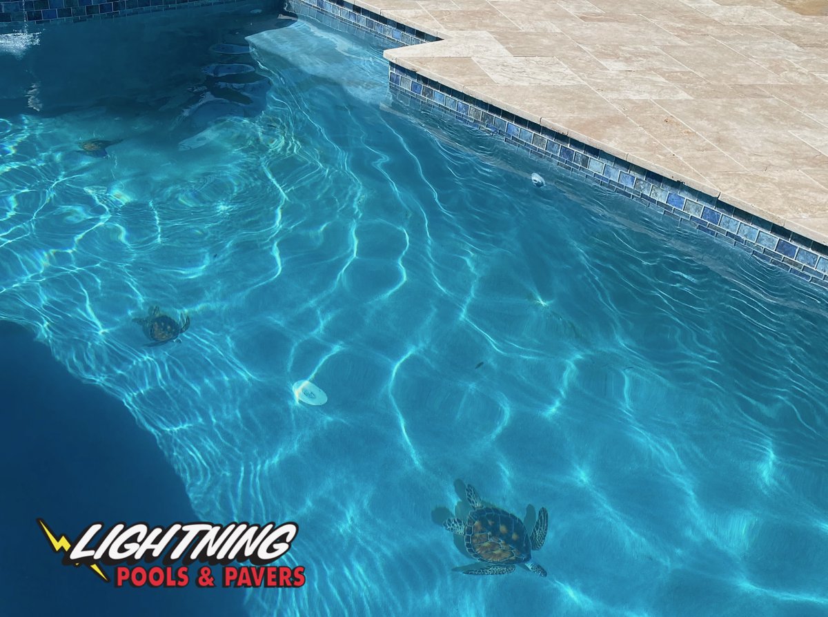 LightningPools's tweet image. The boys added a brand new spa and a sunshelf to this pool. We did a travertine deck, and resurfaced the pool with Stone Scapes aqua white mini. Plus, check out the turtle mosaics! ❤️🐢
#remodeling #remodel #swimming #swimmingpool #homerenovation