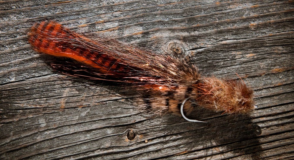 Fly Tying Company tweet media