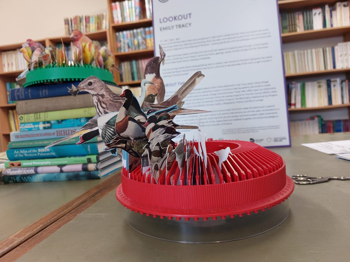 bsidefest's tweet photo. Connecting with nature this afternoon at Emily Tracey’s ‘Look Out’ at the Portland Bird Observatory!
#bside22 #Portland https://t.co/zTS4Yf9B3o