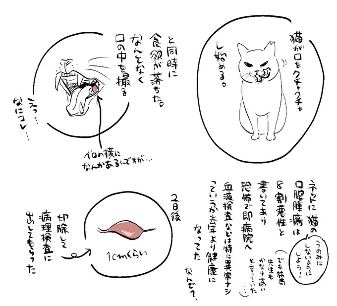 日記 