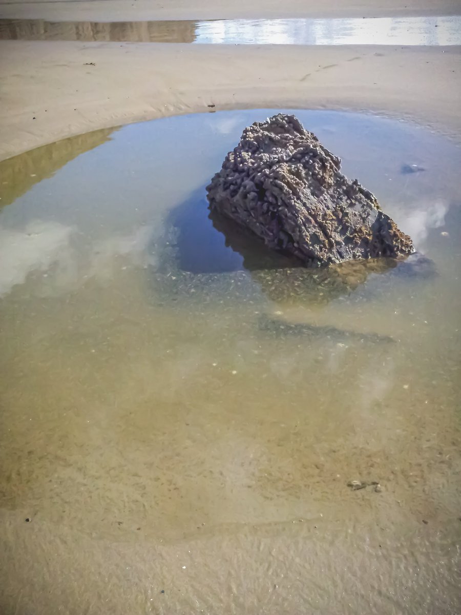 EarthScanners's tweet photo. Zero finds today.
Also, absolutely disgusted to see one of our local beaches, and it's rock pools plastered in raw sewage. 😡
Our beautiful coastline is being ruined by water companies. 
So sad! 
@sascampaigns #pembrokeshire #pembrokeshirecoast #surfersagainstsewage https://t.co/IxRgdWbo6K