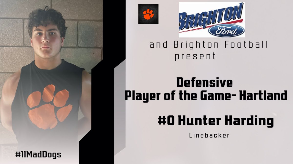 Brighton Football (@godogs_football) on Twitter photo 