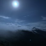 ツイートに含まれる画像