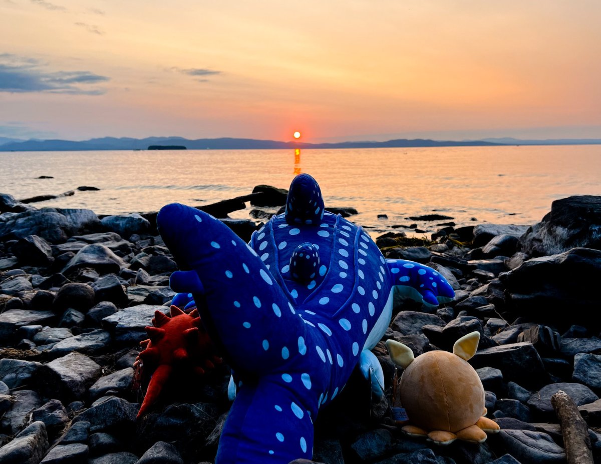 🌊Slime Story: Ocean Drop🌊
🪸 Friday, September 30th 🪸