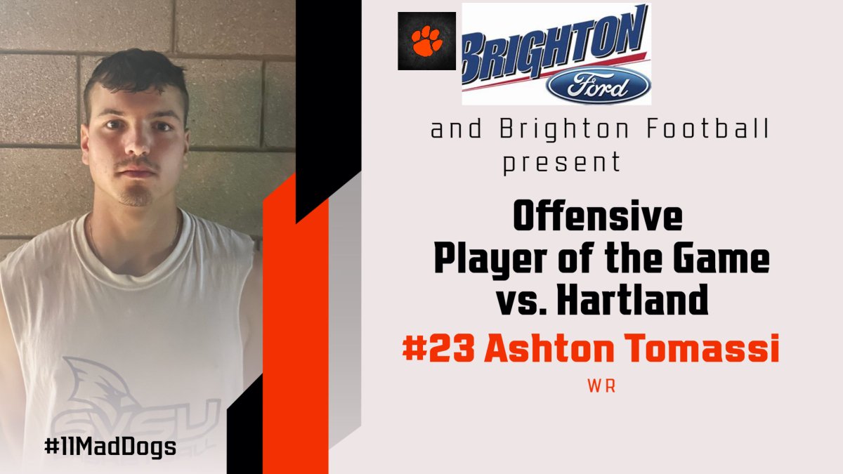 Brighton Football (@godogs_football) on Twitter photo 