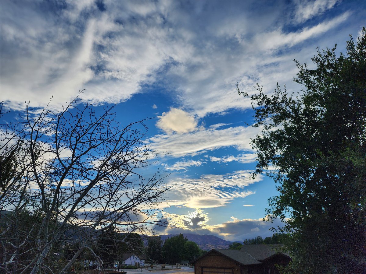 Tracy Scott Kelly tweet media