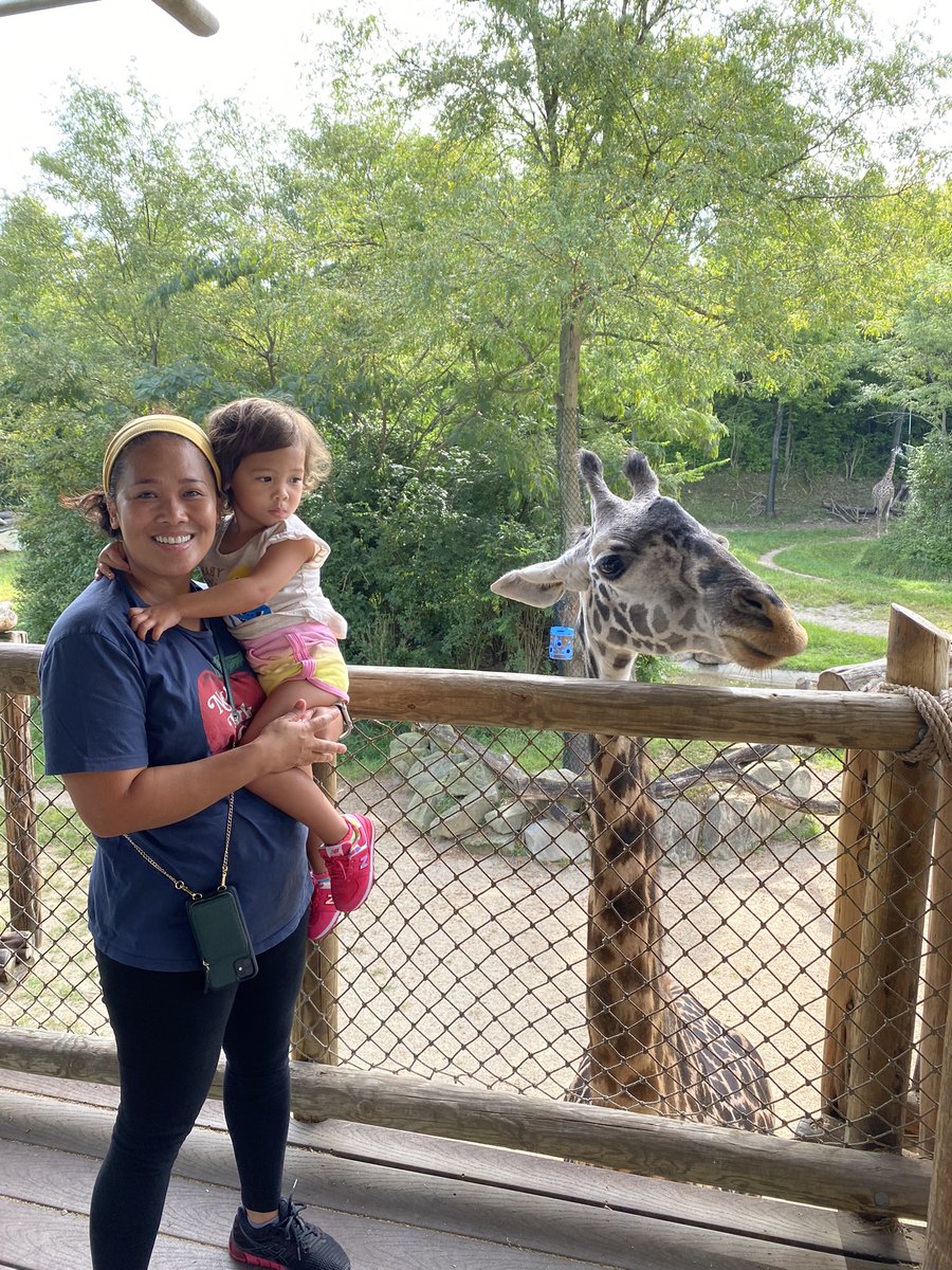 TheRealAnnaFegi's tweet photo. Fun way to start the day by feeding Tessa the giraffe at @CincinnatiZoo !

#CincinnatiZoo #zoo #giraffe #Cincinnati https://t.co/CGCOK5TlzP