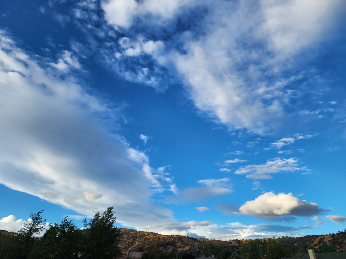 Tracy Scott Kelly tweet media