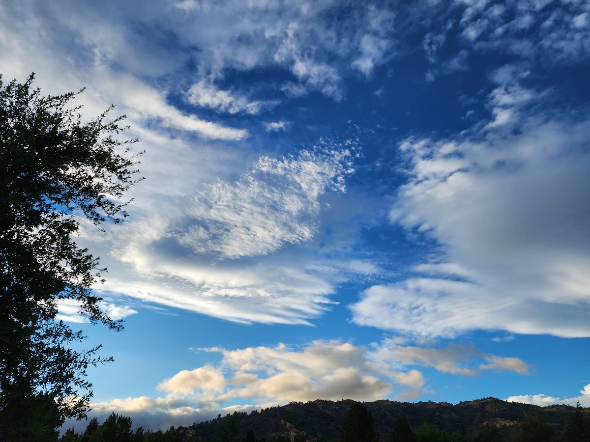 Tracy Scott Kelly tweet media