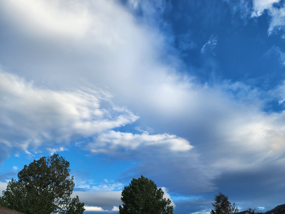 Tracy Scott Kelly tweet media