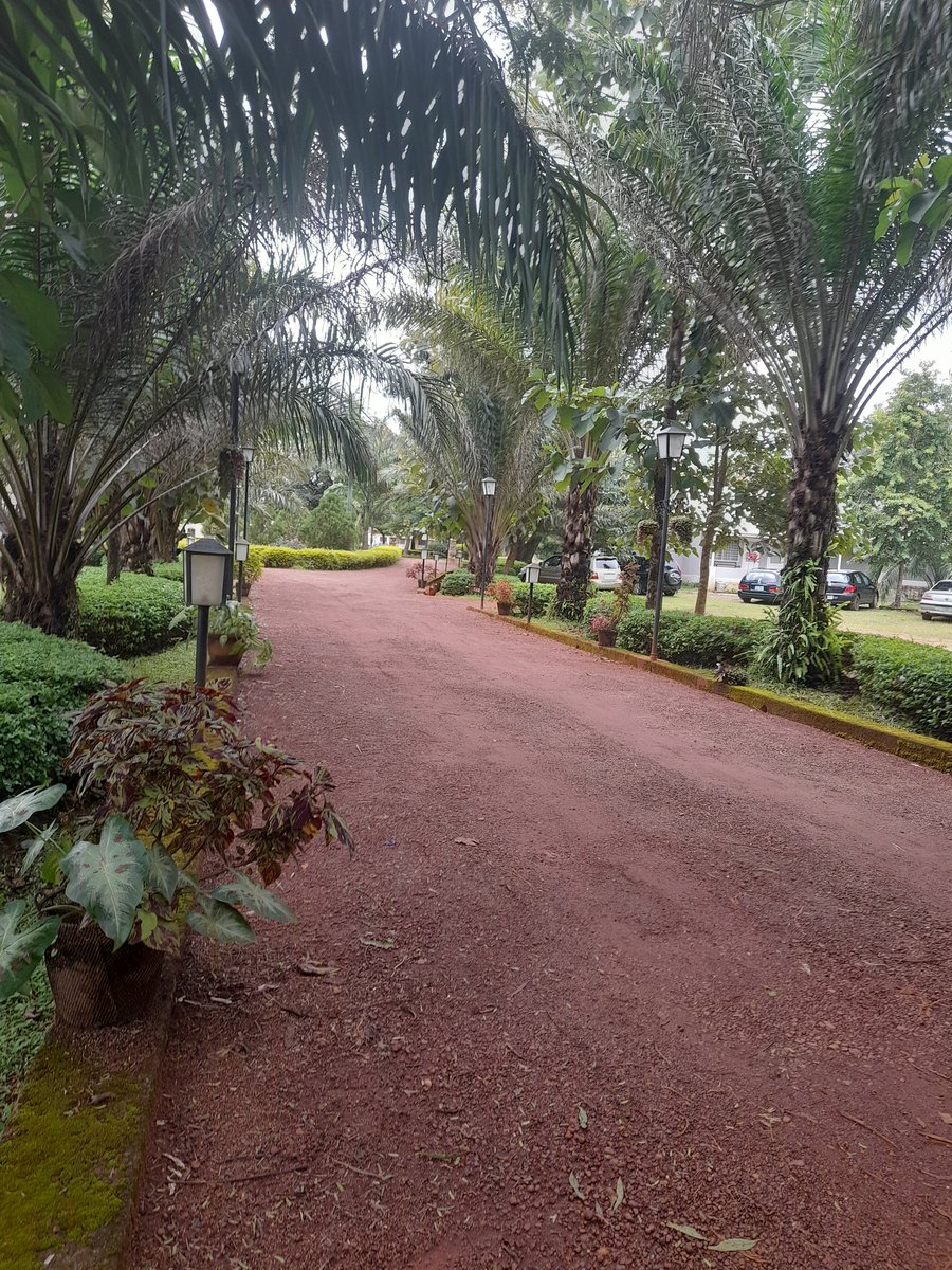 YourCyberGirl's tweet photo. Miango Rest Home, The Home of Beauty+Hospitality ❤
#Miango
#PlateauTourism
#Tourism
#Beauty

📷 Ruth Ki ❤ https://t.co/c6KGKeizr9