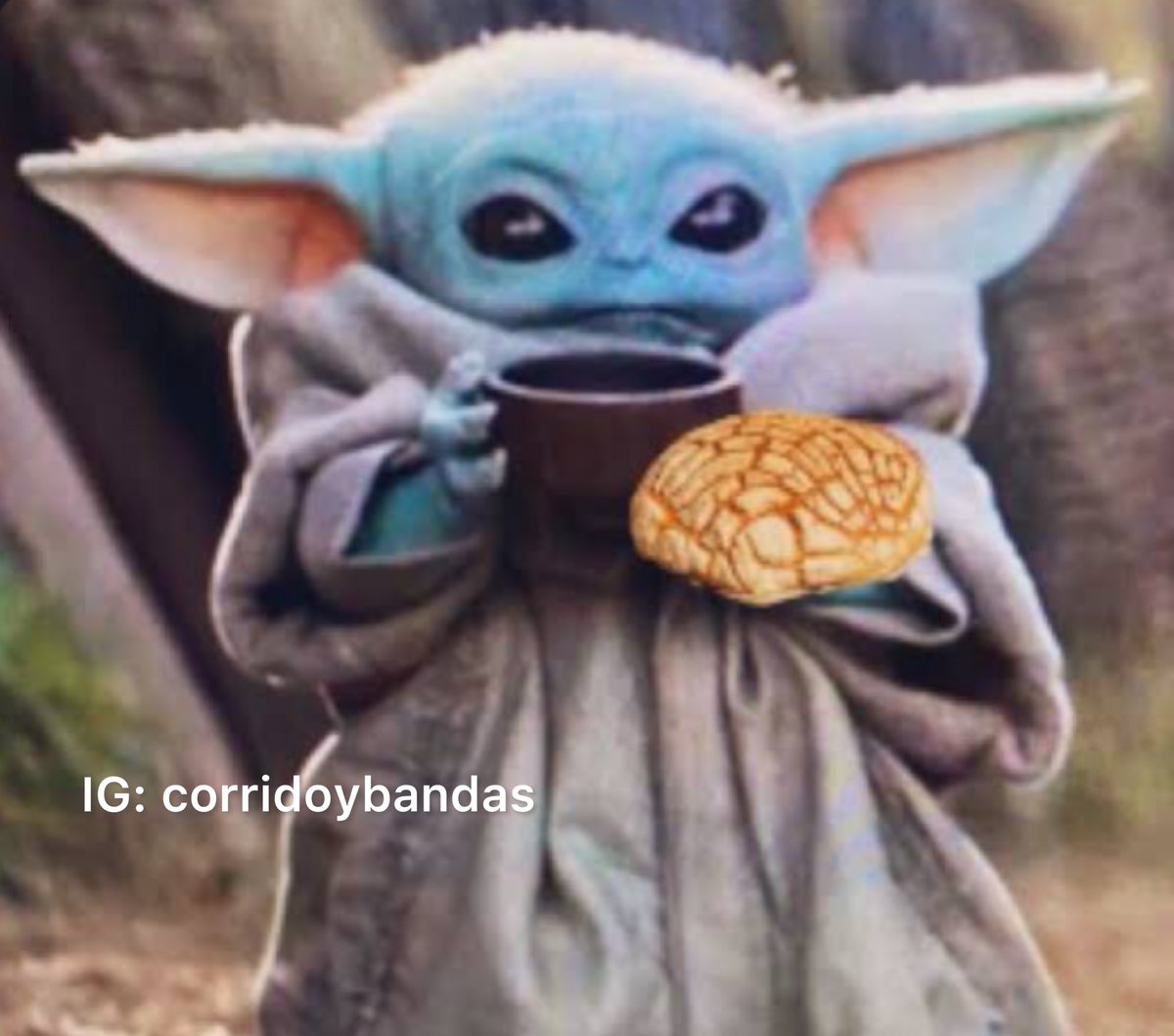 corridosybandas's tweet photo. Un cafecito y a chingarle. https://t.co/LKZOSgcHcz