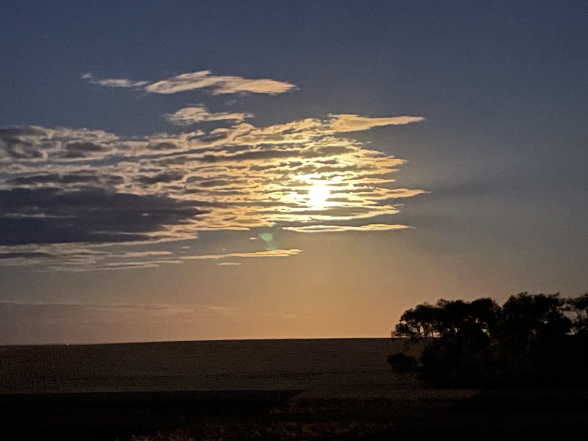 Not a bad view on the farm tonight!