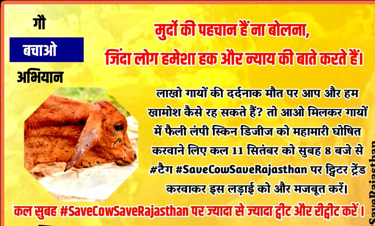 TheUpenYadav's tweet photo. लाखो गायों की दर्दनाक मौत पर आप और हम खामोश कैसे रह सकते हैं ?
तो आओ हम सब मिलकर गायों में फैली लंपी स्किन डिजीज को महामारी घोषित करवाने लिए कल 11 सितंबर को स��बह 8 बजे से #SaveCowSaveRajasthan पर ट्विटर ट्रेंड करवाकर इस लड़ाई को और मजबूत करें ll https://t.co/MNnNSvyDVi