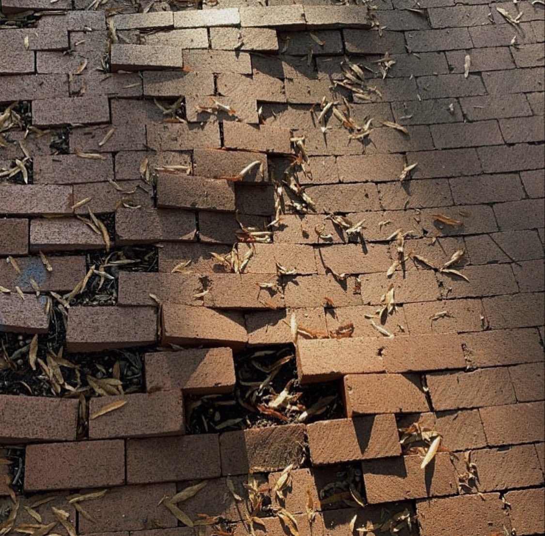 ⠀ 

  ⠀ ⠀          𝐣𝐞 𝐭𝐞 𝐟𝐞𝐫𝐚𝐢𝐬 𝐯𝐨𝐢𝐫 𝐥𝐞𝐬 𝐞́𝐭𝐨𝐢𝐥𝐞𝐬.  
  ⠀ ⠀     ⠀   ⠀