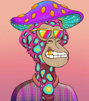 bellaTLopez's tweet image. @trippinapes has one of the best PFP out there in $SOL, constantly builds no matter what. Should I buy more?
Can the #CULT fam show some love?
Does #APE follow #APE ?  #nftart