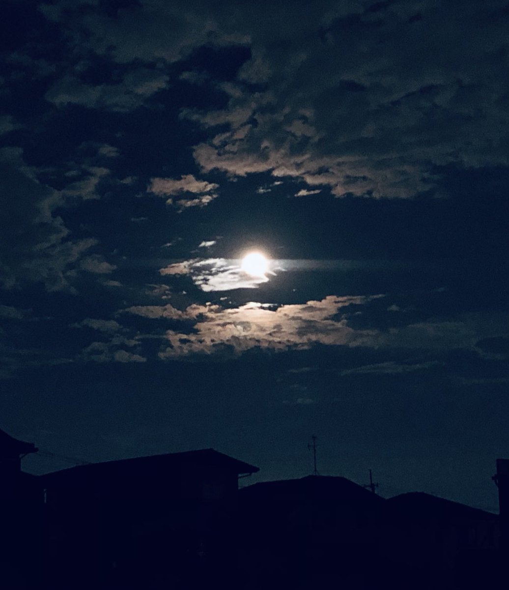 久しぶりに 空をゆっくり見上げました...🌕
