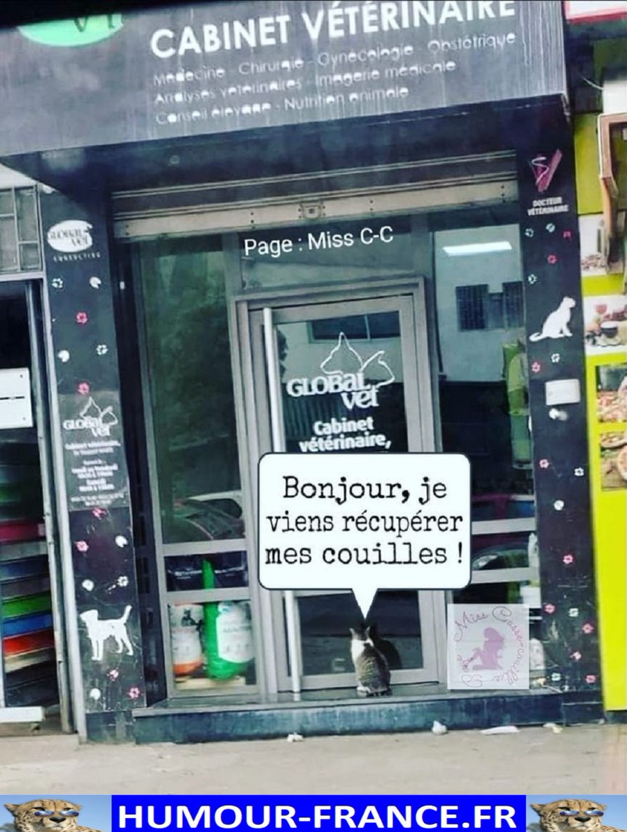 HHumourFrance's tweet photo. Humour-France : https://t.co/hT4KBy4VC9
Boutique : https://t.co/PyvZpZs4Rr
CHAINE YOUTUBE Humour-France : https://t.co/sPYQdq8khw
#jpp #lolilol #bonjour #louper #oups #videohumour #drole #droles #drolehumour #comique #humouràlaconne #humourdemerde #failarmy #rire #humouralacon https://t.co/1A4099U1nc