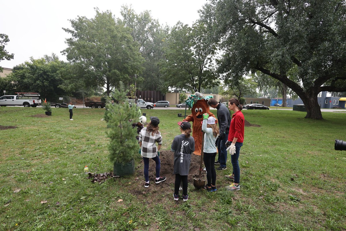 digital_gopher's tweet image. Planting trees for Xcel energy day of service #XEDOS