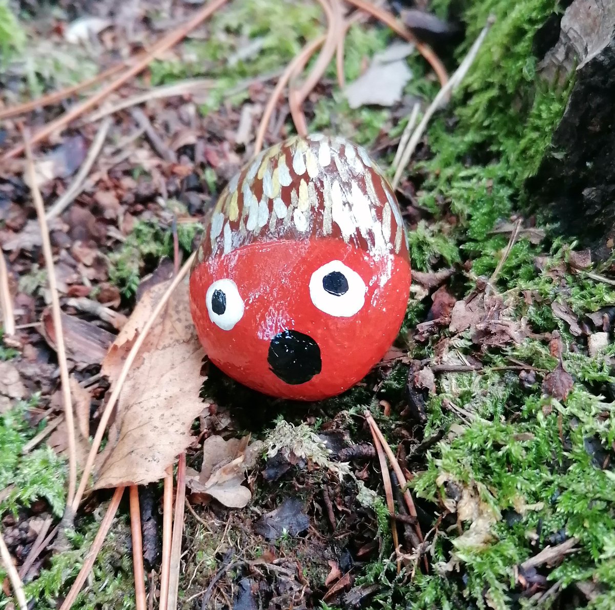 twofishnocat's tweet photo. Not local methinks, a walk around #AshRanges https://t.co/4mkY3dDAQt