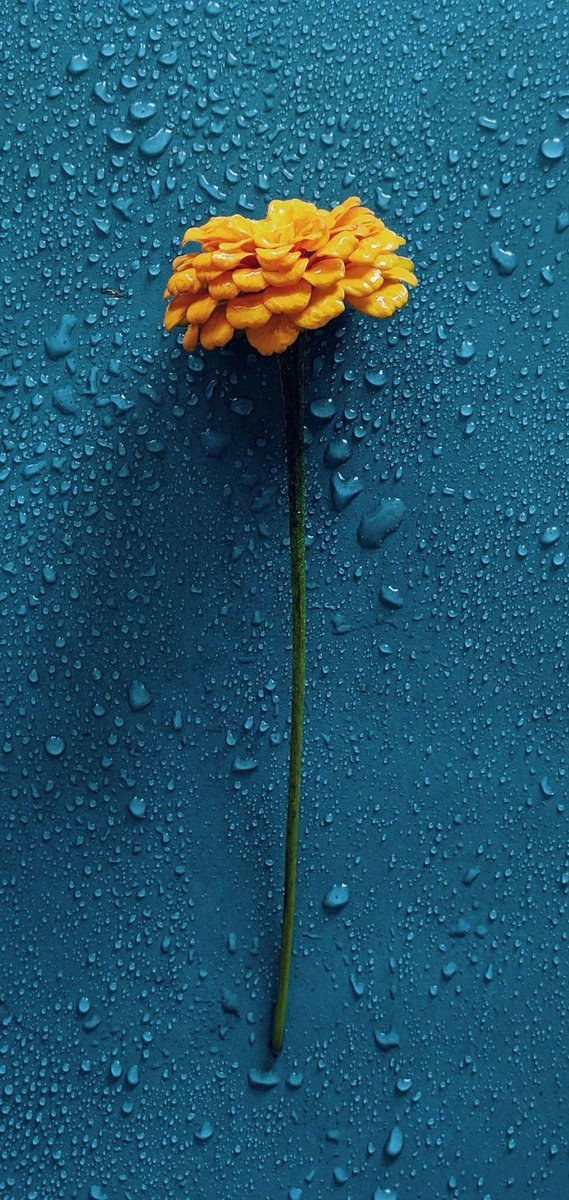 #صورة_مشحونة

نية قوووية ❤️🌟

بإسم الله الكريم الأكرم

حطوا نية مالية عملية مادية ⭐✨