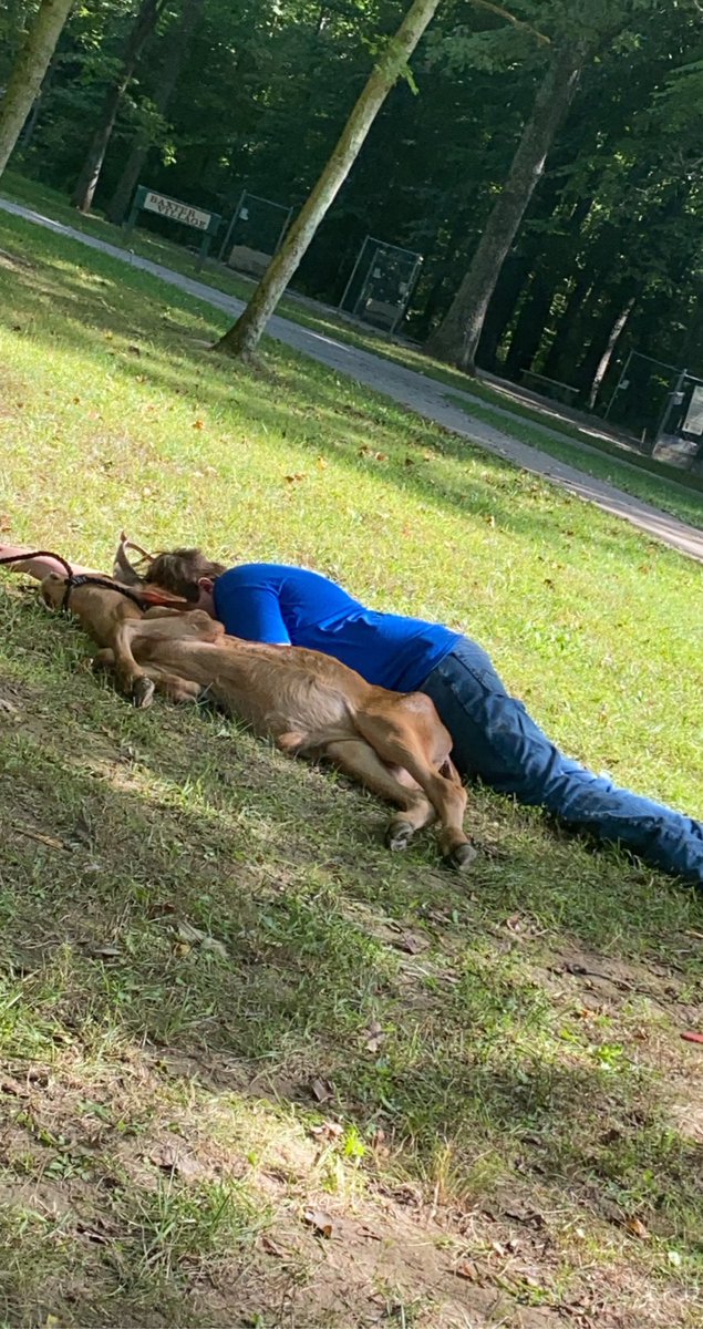 FFA students are volunteering at the Handicapable Camp at Bradford Woods today. <a href="/AwesomeArties/">Martinsville HS</a>