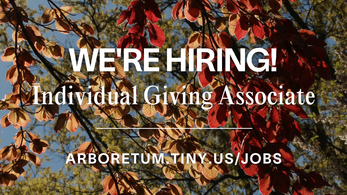 ArnoldArboretum's tweet photo. We're hiring! Reporting to the Director of Institutional Advancement, the Individual Giving Associate will be an essential member of the Arboretum Advancement team, managing and supporting a full range of donor and member services. Learn more at https://t.co/iTeTaViABJ! https://t.co/za3YIIaVHL
