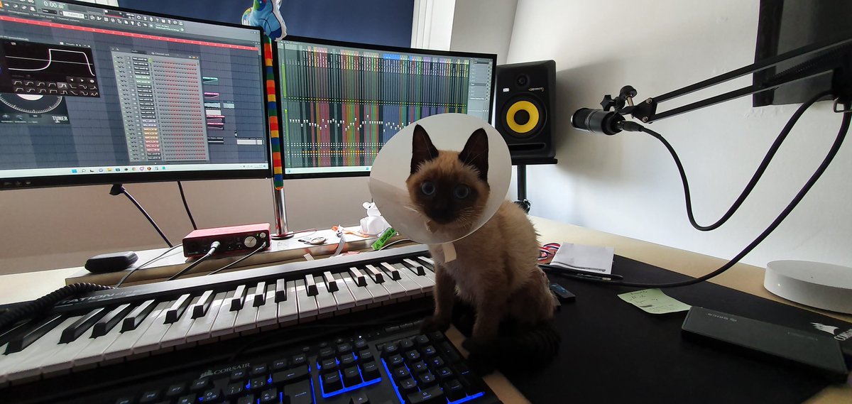 RAWPVCK's tweet image. Welcome to the studio, Cantal 😎🐱😎