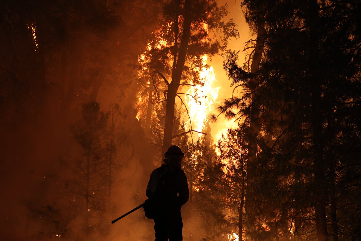 QuakeFactor's tweet photo. #MosquitoFire near Oxbow Reservoir, east of Forest Hill in Placer County is 33,754 acres. In Unified Command with @CALFIRENEU, @Tahoe_NF, @PlacerSheriff, and Foresthill Fire Protection District.
https://t.co/RTCaXIpEt8 https://t.co/adXHLPCfq0 #QuakeFactor