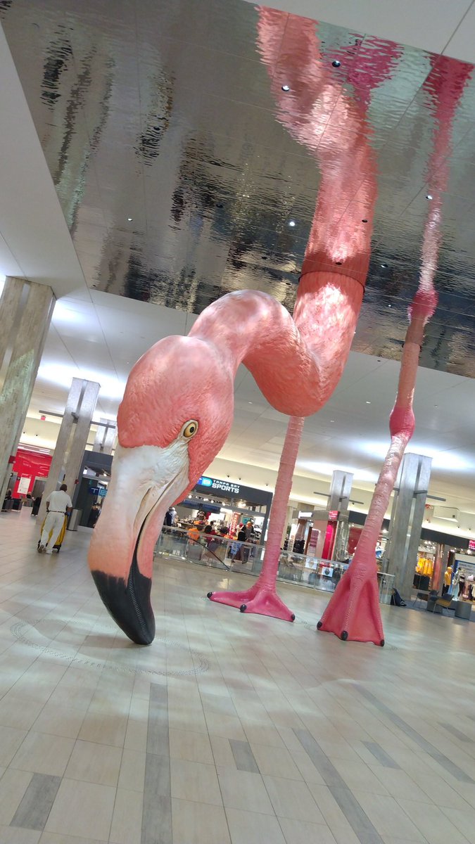 Hey hey hey Greetings from Florida. I arrived safely yesterday afternoon. Sorry I forgot to let some of you know as I was on the go since 2 am yesterday. Thank you for prayers on safe travels. Man I'm exhausted and hurting today. Much love hugs prayers xoxoxo for all of you