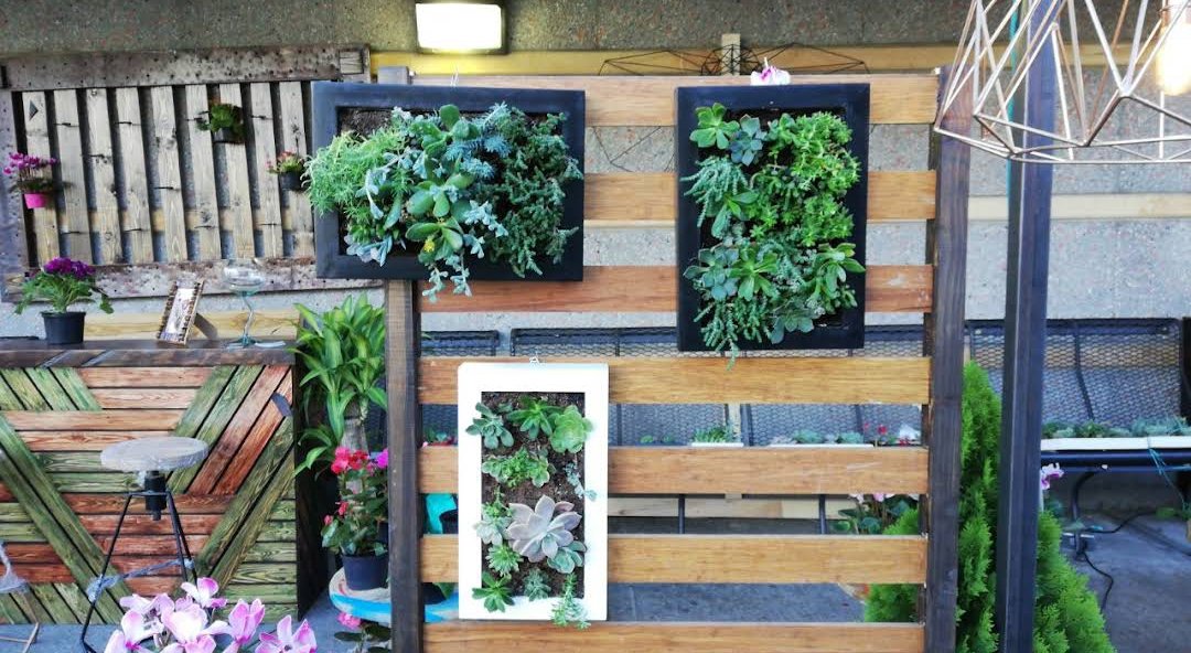 #dlmueblesynaturaleza decorations by your house 🏠 contact WhatsApp 3102491521 Colombia