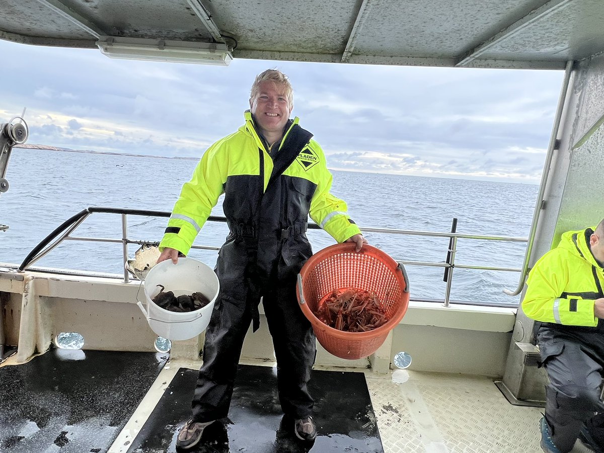 Big career news. Travel writing has so many ups &amp; downs, so I’m opting for a career swap. I’m now a (very happy) langoustine fisherman in #westsweden. Freshly caught &amp; boiled shellfish every day. Lobster season soon too 😊 😋 Slainte! <a href="/TravWriters/">BGTW: British Guild of Travel Writers</a>