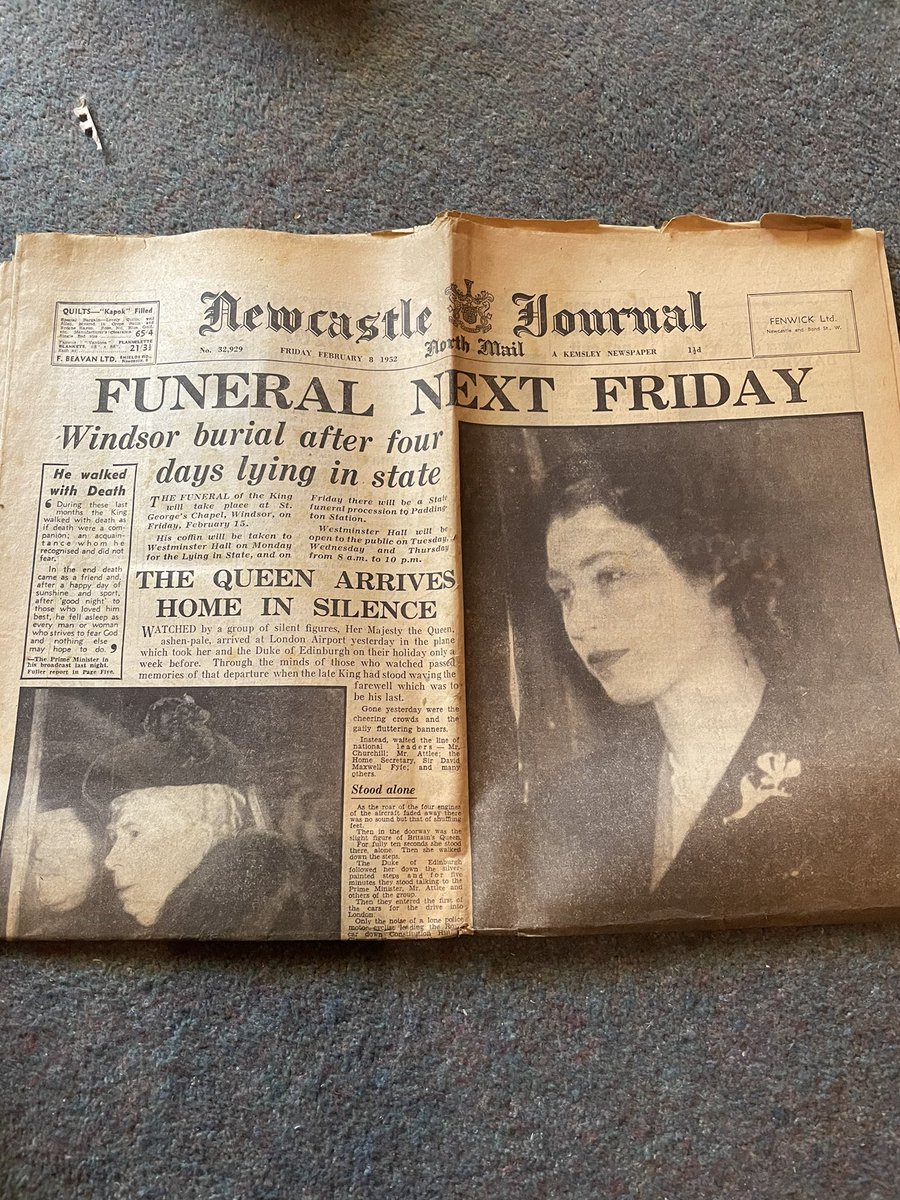 Elspeth Thomson tweet media