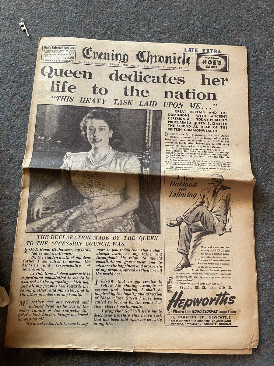 Elspeth Thomson tweet media