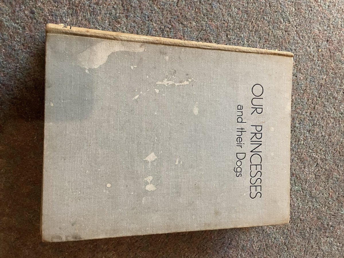 Elspeth Thomson tweet media