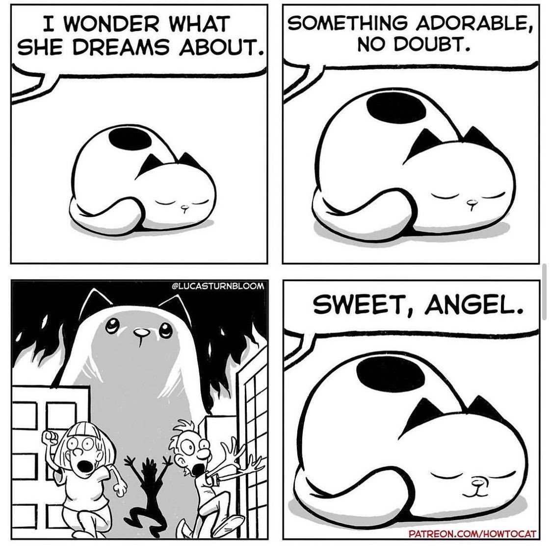 NEW COMIC: “Sweet Dreams” 
#Caturday 
patreon.com/HowToCat