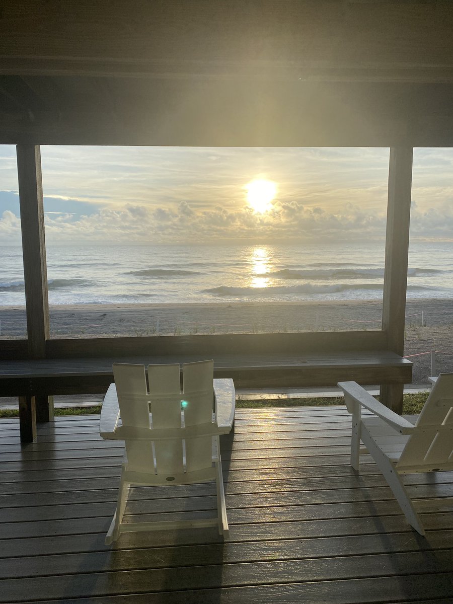 Amy J. Murray tweet media