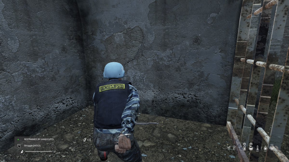 OppressorTv's tweet photo. #PS5Share, #DayZ https://t.co/KnHUOLj5xM