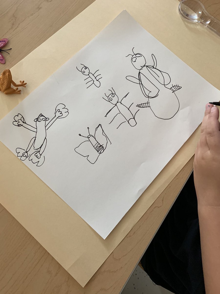 kthomas_artroom's tweet photo. First grade is investigating insects and using their knowledge of shape along with their observational drawing skills to draw what they see! #elemart @LehighElemNASD https://t.co/jHmRSMeLxZ
