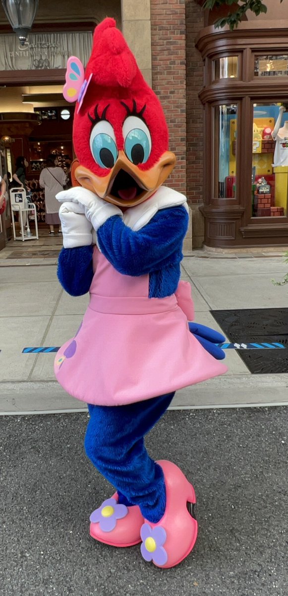 tmt3582's tweet photo. 2022.9.10
サンレスに行くので、サンジさんとウッディとどっちがカッコイイか見てくるね！って言ったらオレオレ！！ってさ😊
 #USJファン https://t.co/enFw6HnNMc