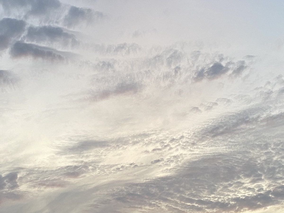 helloks6's tweet photo. 10분 차이로 #추석하늘 https://t.co/dMTKgEUzvV