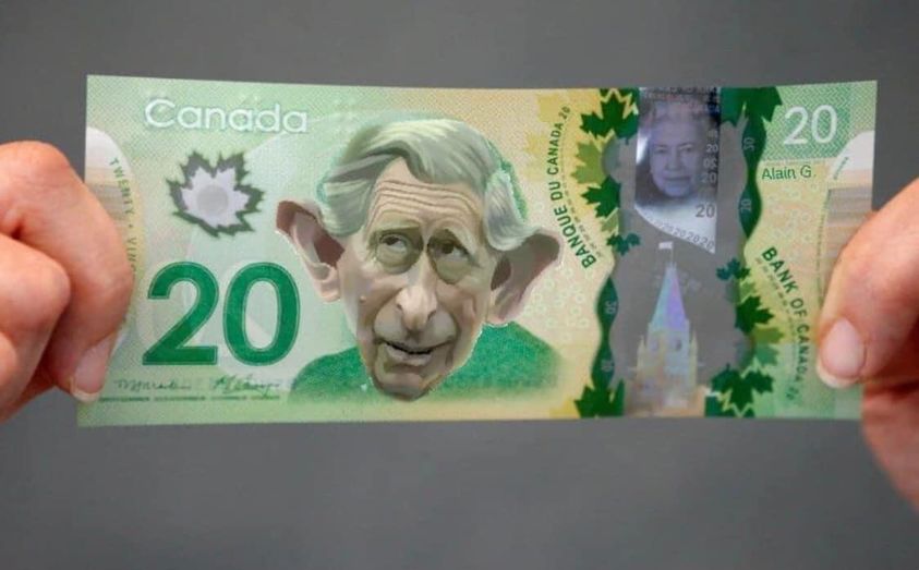 monique_laberge's tweet photo. vive le roi! https://t.co/OIxW6kRteZ