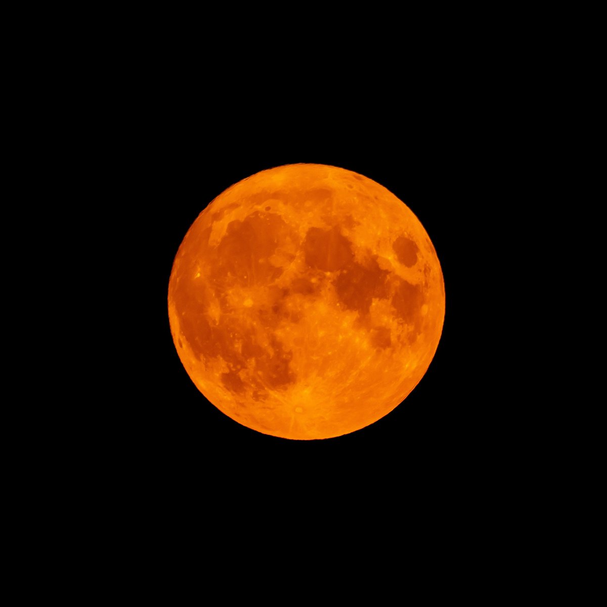 Harvest Moon last night in Richmond, BC