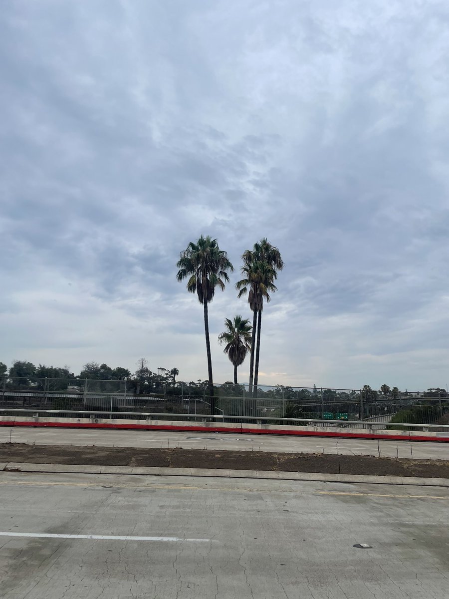 CoachHop's tweet photo. ☁️🏃🏼♂️ #SaturdayMorningRun #AnotherOne @SDPartnership #sandiego ##CortezHill #BalboaPark #sd #runsd #runner ❤️ https://t.co/3YM3jHAlFr
