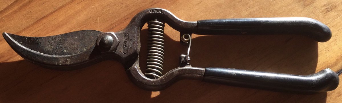 BradMaisto's tweet photo. Iβm not having much luck finding out how old these Stanley model PS18 garden shears are. But they sure do work well harvesting our abundant winter squash and pumpkin crop in 2022. #maistomountain #vintagetools #stanleytools #gardenshears #antiquetools #pickingpumpkins https://t.co/88y2m69lF9