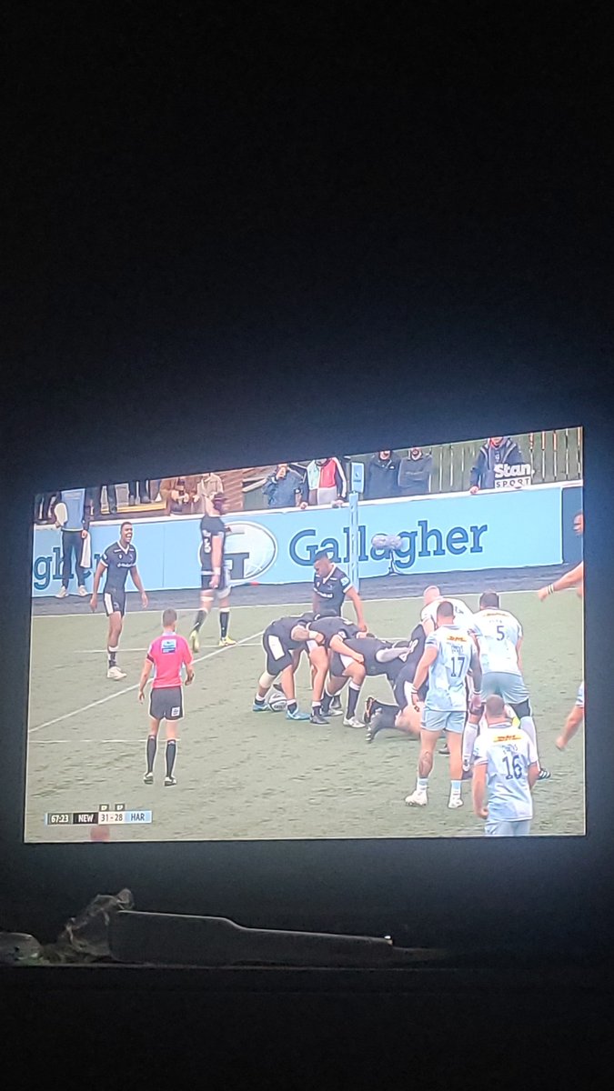 Howay the lads! <a href="/FalconsRugby/">Falconsrugby</a>