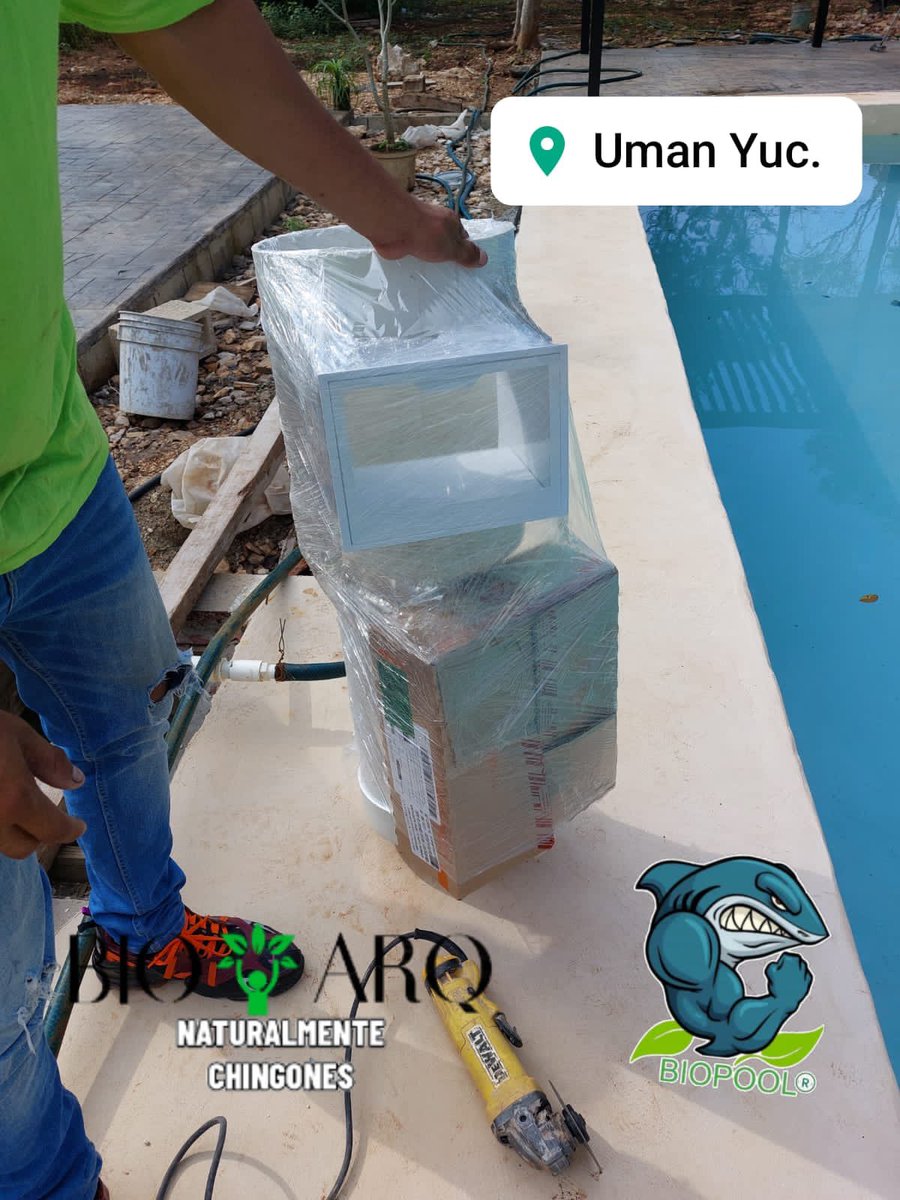 DagoRuizLavin's tweet photo. No se ocupan cuarto de máquinas,No se desperdicia agua al limpiarla .@bioarq #Ingeneriafrancesa #biopool #filtroecológico #albercas #Yucatan #QuintanaRoo #cancun https://t.co/h0PdlFl2rb